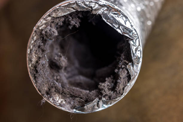 Air Duct Mold Removal in Wanakah, NY